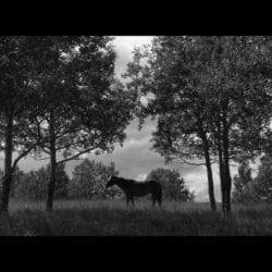 58694914-EFAD-431A-AF3B-6CF7B0397904
