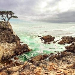 Z_L_LONE_CYPRESS_POINT_website