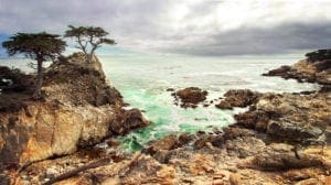 Z L LONE CYPRESS POINT website