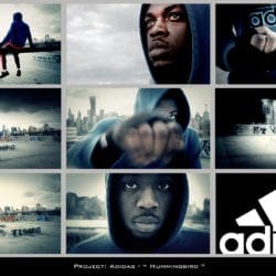 Adidas-Hummingbird-Storyboard