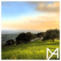 Meadows-EP-Cover