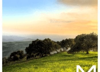 Meadows EP