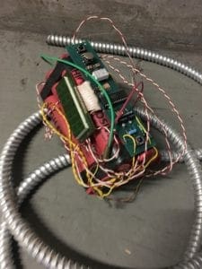 IMG 1784