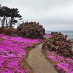 Pacific-Grove-MrLocationScout