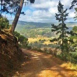 Palo-Corona-MrLocationScout