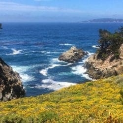 Point-Lobos-MrLocationScout