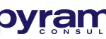 Pyramid Consulting, Inc.