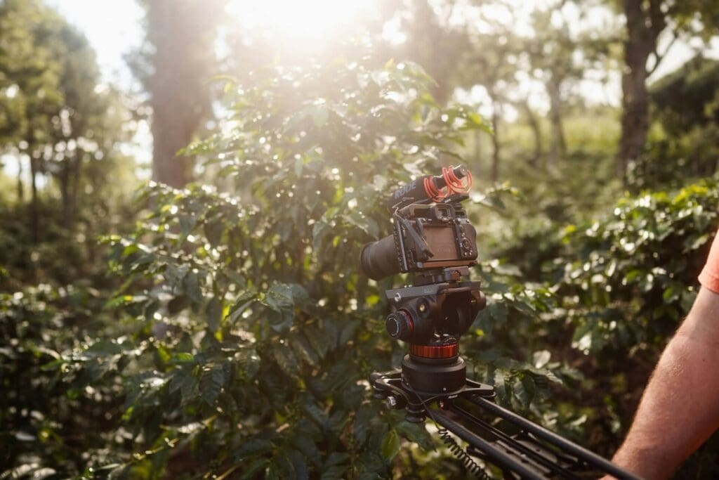 Master Natural Light In Film A Pro s Guide