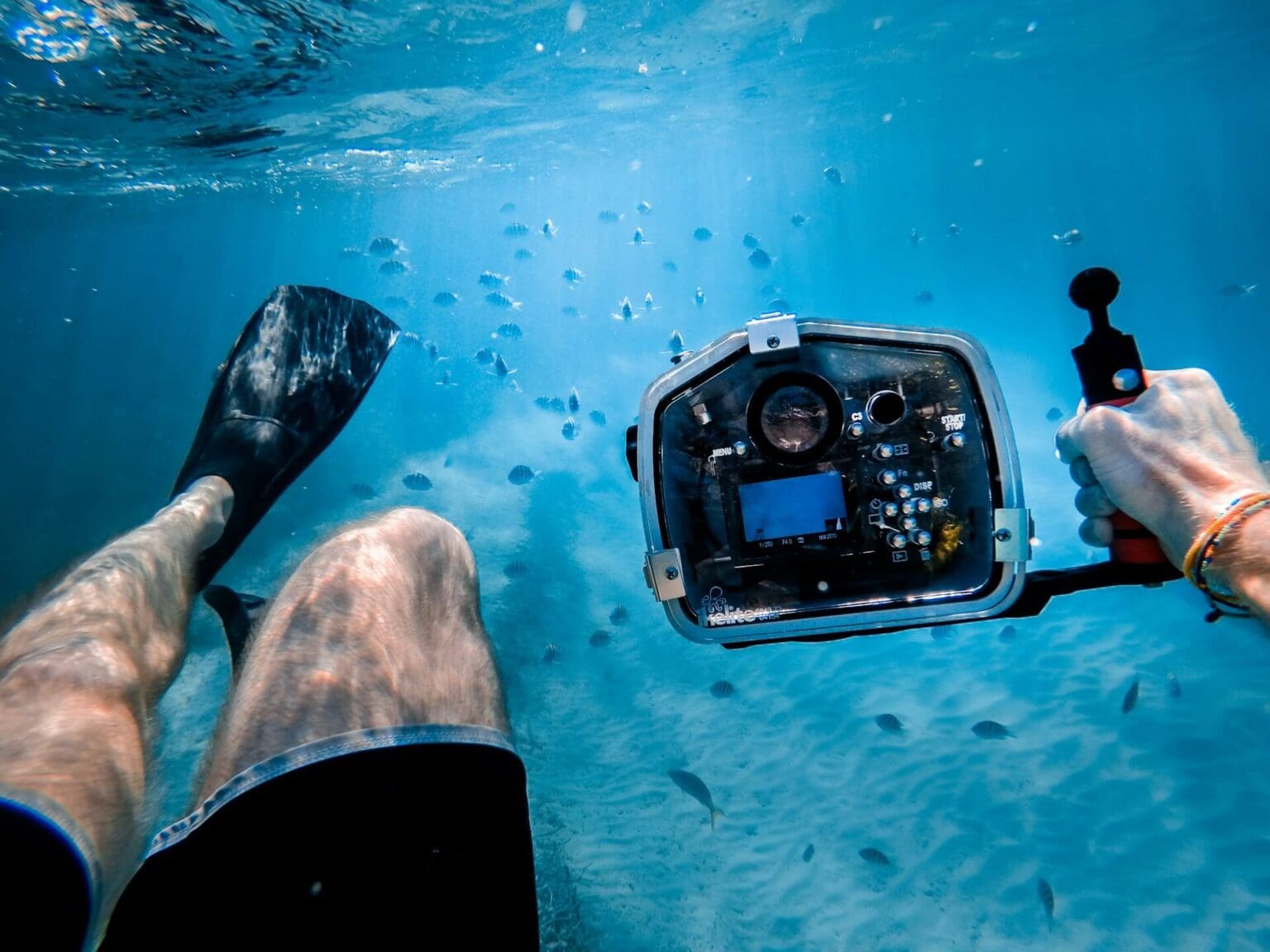 underwater videography tips & tricks – underwater... Mastering Underwater Cinematography: Pro Tips & Gear