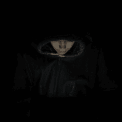 dwd_1