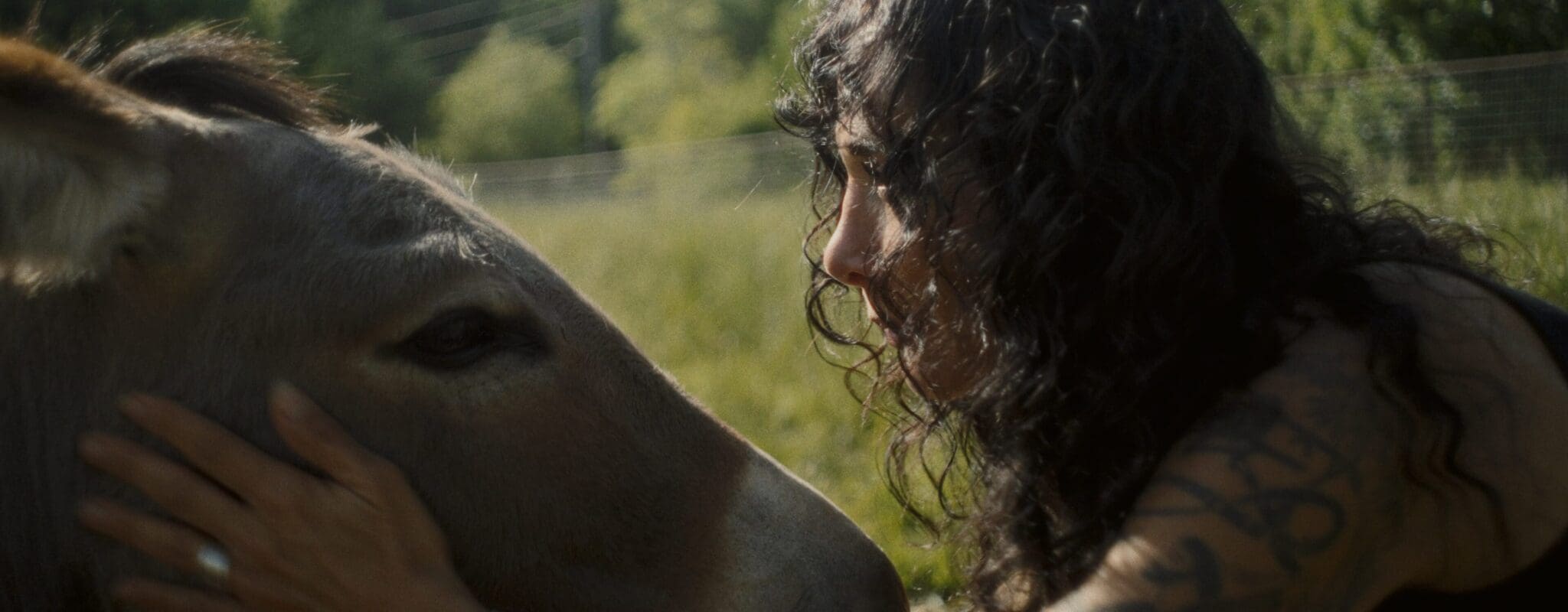 Frame Grab 2